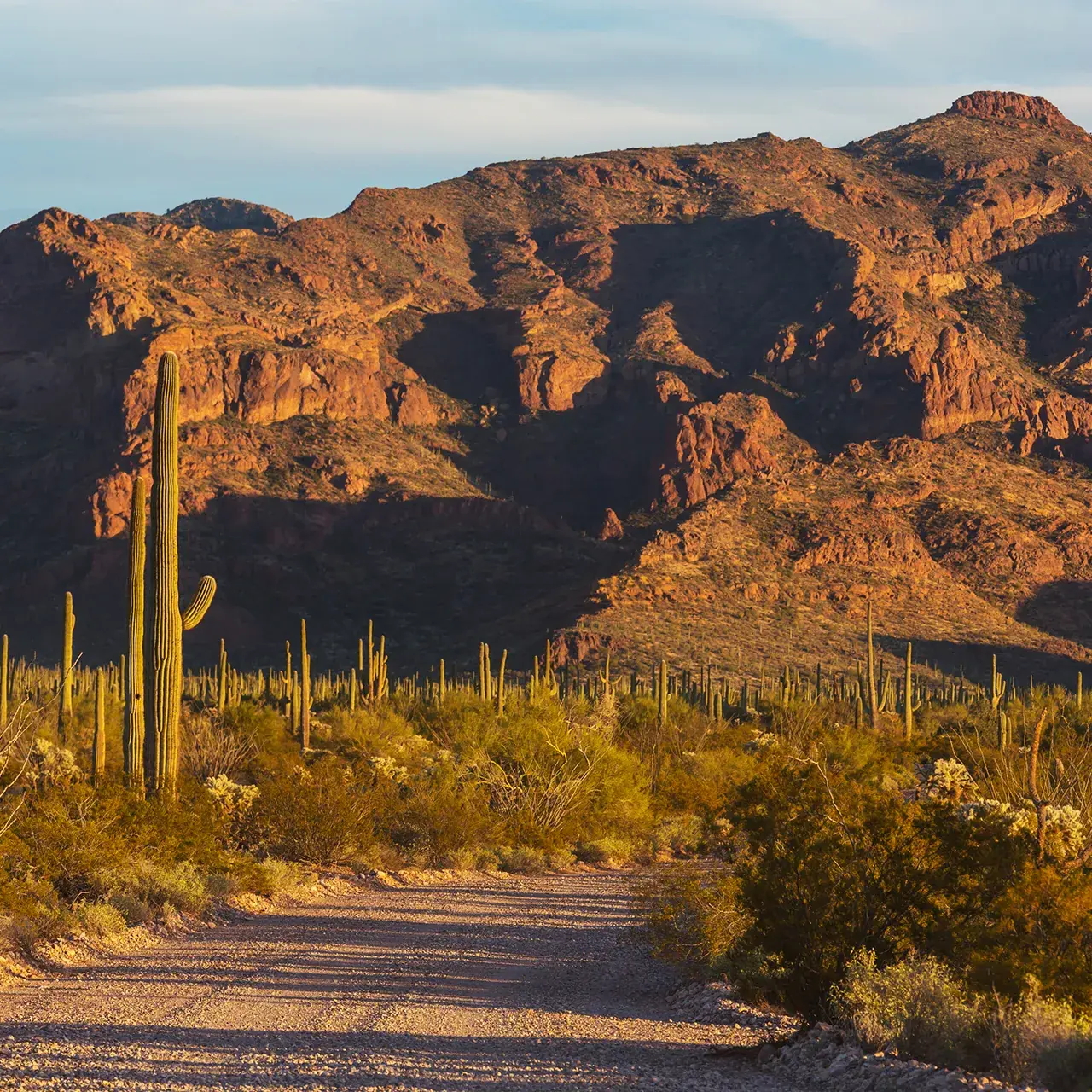 Roof repair in Marana, AZ by Blueprint Home Services